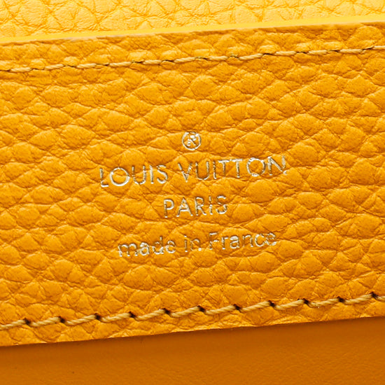 Louis Vuitton Purple Taurillon Leather and Python Capucines BB Bag Louis  Vuitton | The Luxury Closet