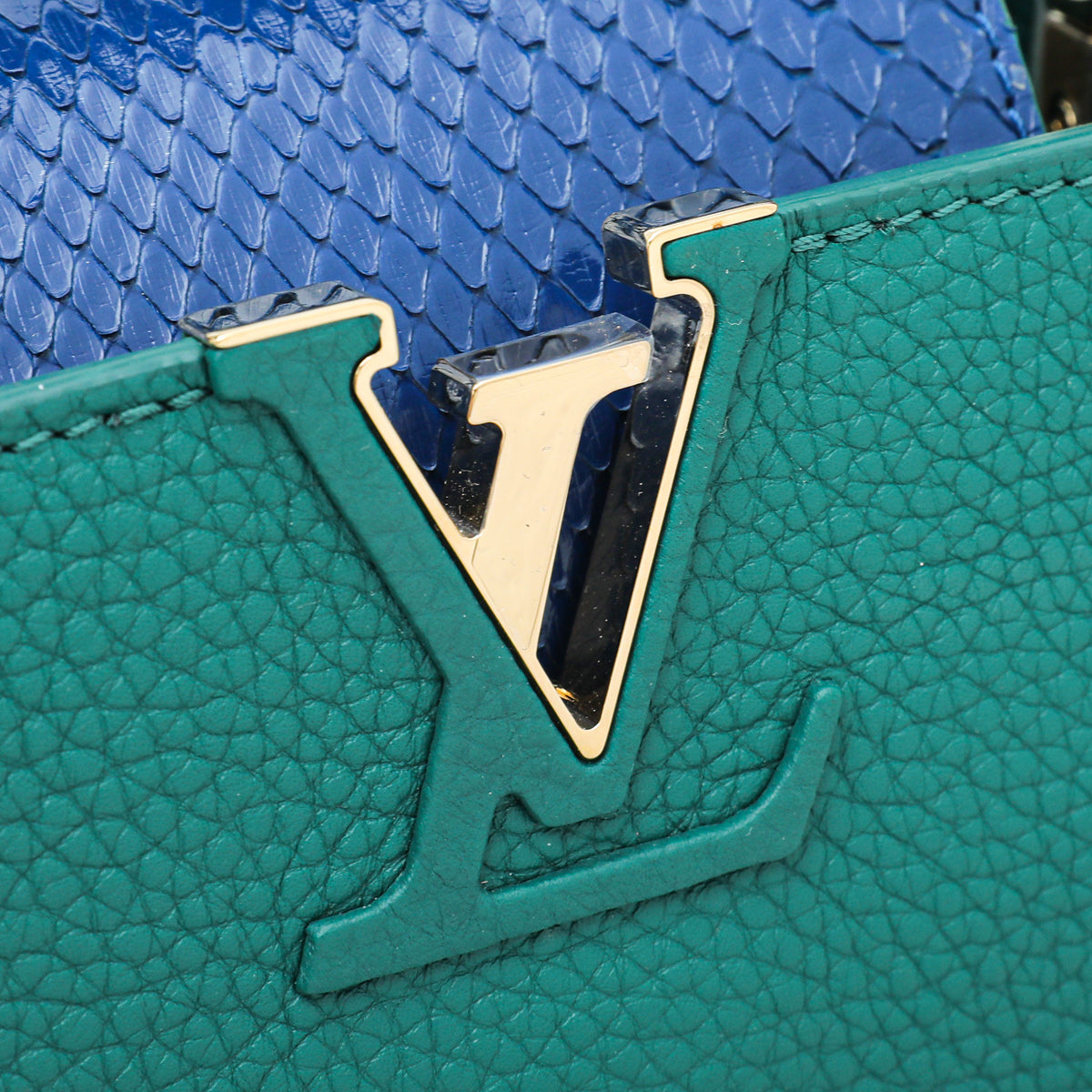 Louis Vuitton Bicolor Python Capucine Mini Bag