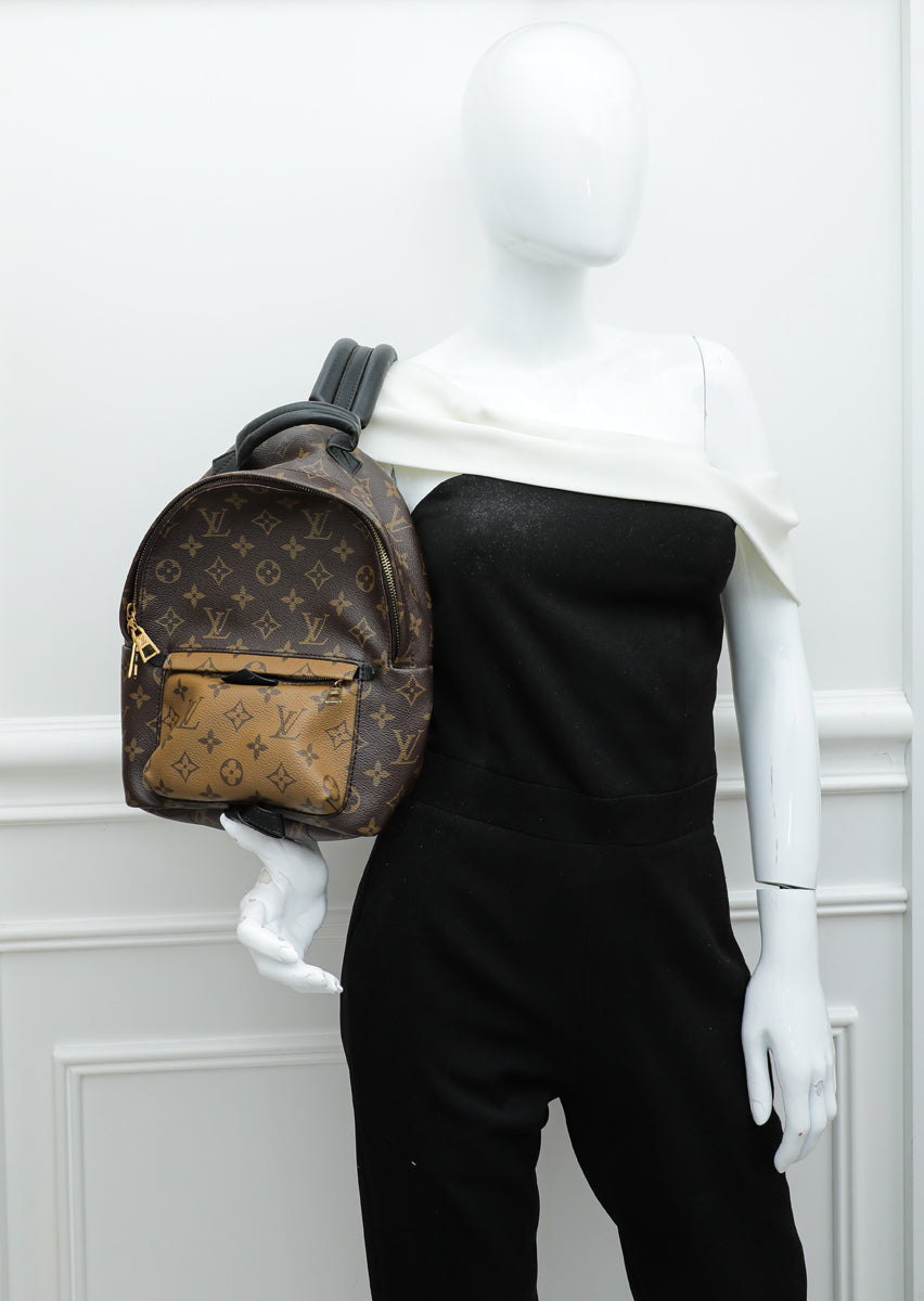 Louis Vuitton Monogram Reverse Palm Spring Small Backpack Bag