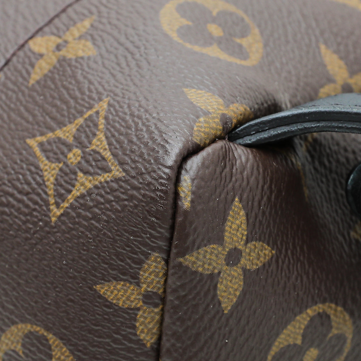 Louis Vuitton Monogram Reverse Palm Spring Small Backpack Bag