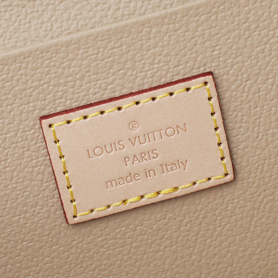 Louis Vuitton Monogram Nice Mini Case