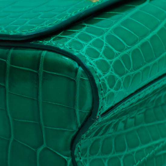 Twist lizard crossbody bag Louis Vuitton Green in Lizard - 21049490
