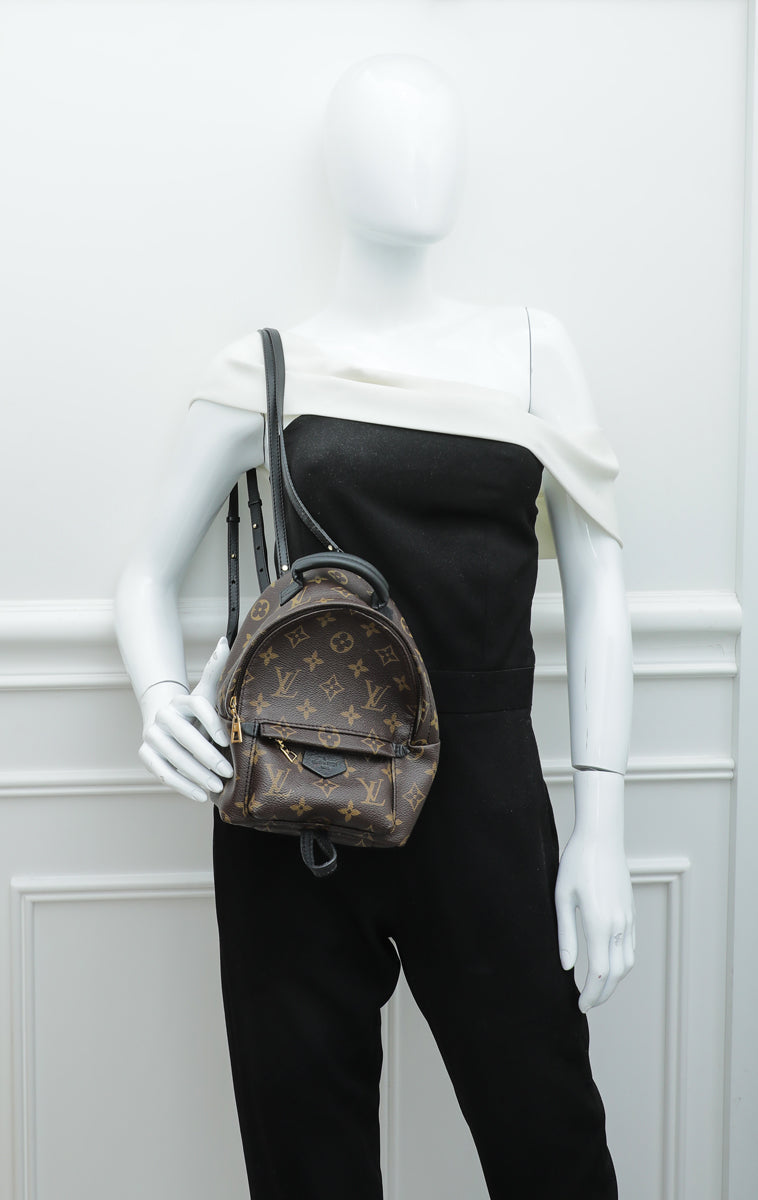 Louis Vuitton Palm Springs small model backpack in brown monogram canvas  and black leather