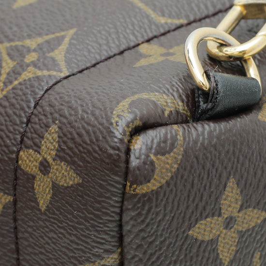 Louis Vuitton Monogram Palm Spring Mini Backpack Bag