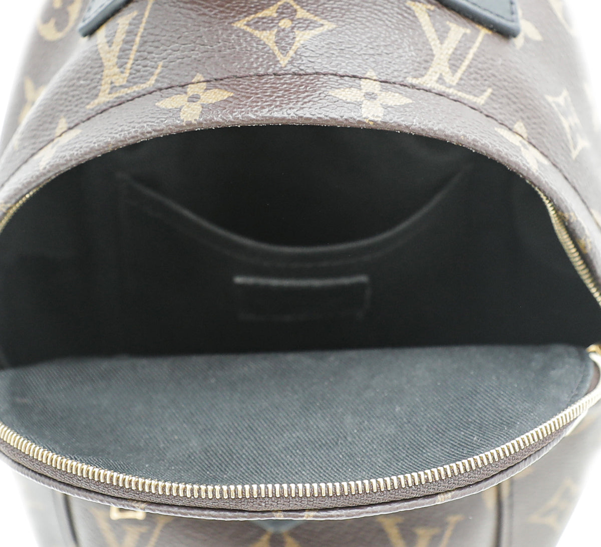 Louis Vuitton Monogram Palm Spring Mini Backpack Bag