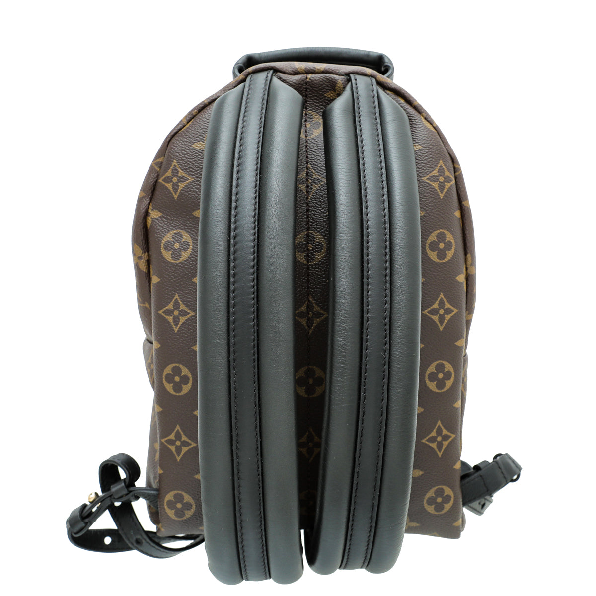 Louis Vuitton Monogram Palm Spring PM BackPack Bag