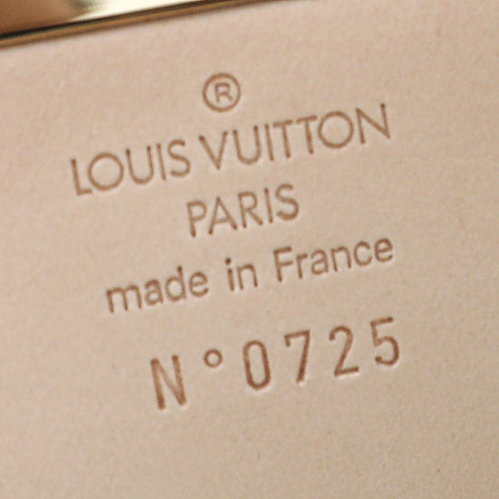  Louis Vuitton, Pre-Loved Monogram Vinyl Tweedy Rabat, Brown :  Luxury Stores