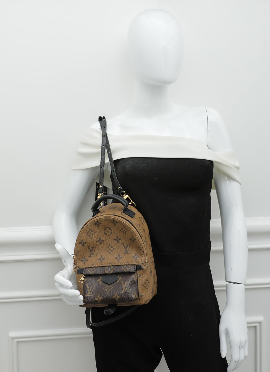 Louis Vuitton Monogram Reverse Palm Spring Mini Backpack Bag – The Closet