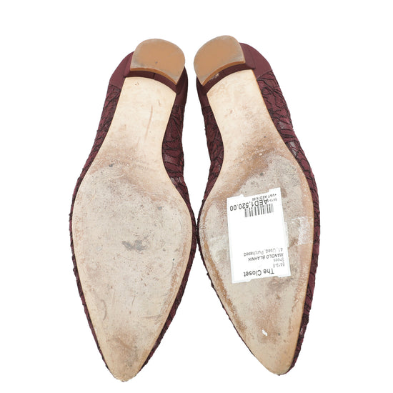 Manolo Blahnik Burgundy Hangisi Lace Flat Ballerina 41