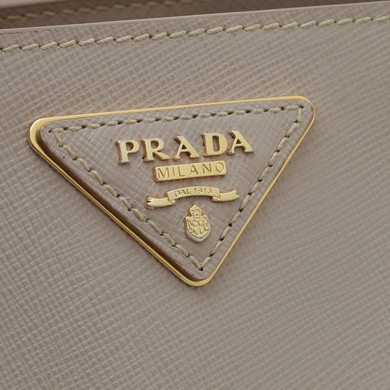 Prada Cammeo Lux Gardener's Small Bag