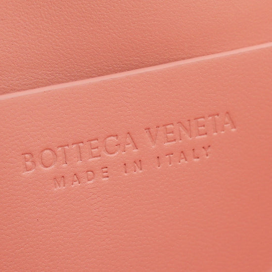Bottega Veneta - Bottega Veneta Peach Beak Feather Bag | The Closet