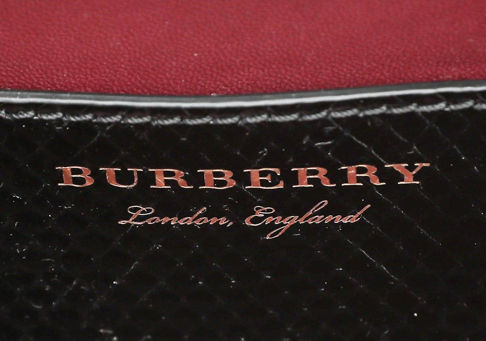 Burberry Bicolor Python Pochette Frame Bag-Burberry-THE CLOSET