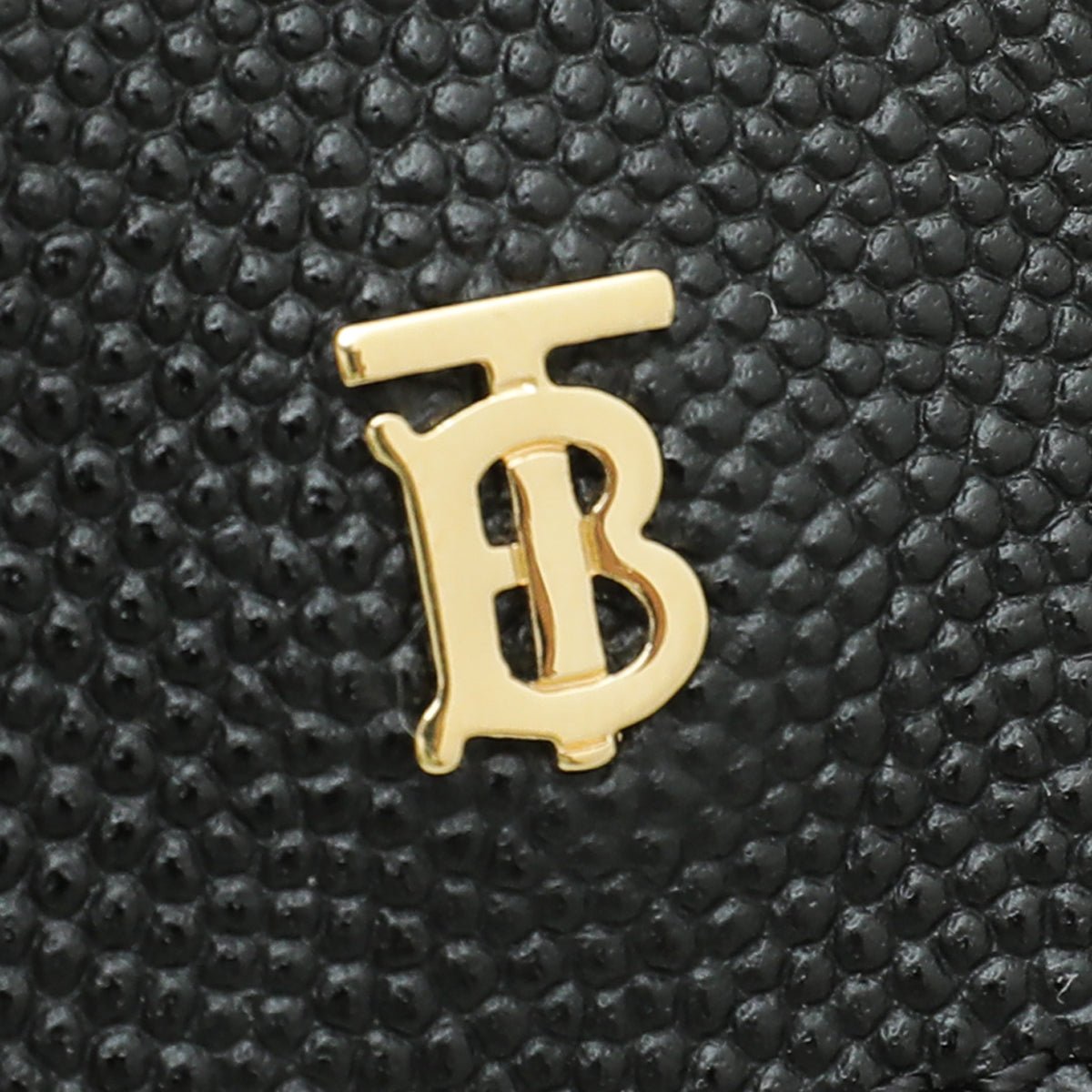 Burberry Tb Logo Chain Wallet in Black