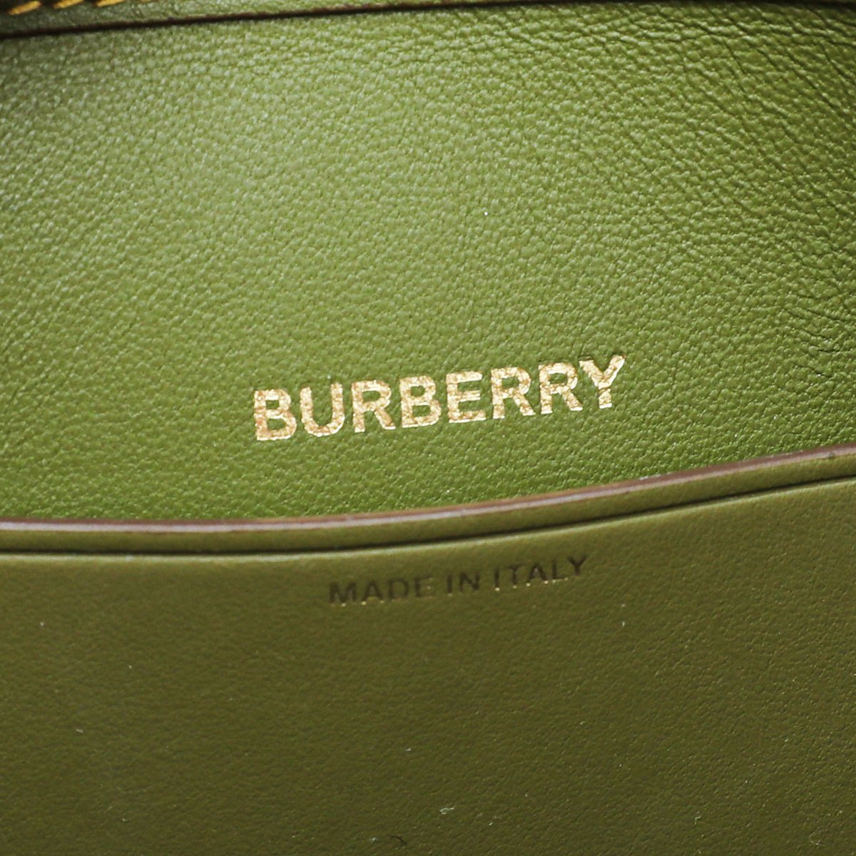 Burberry Tricolor Olympia Mini Bag-Burberry-THE CLOSET
