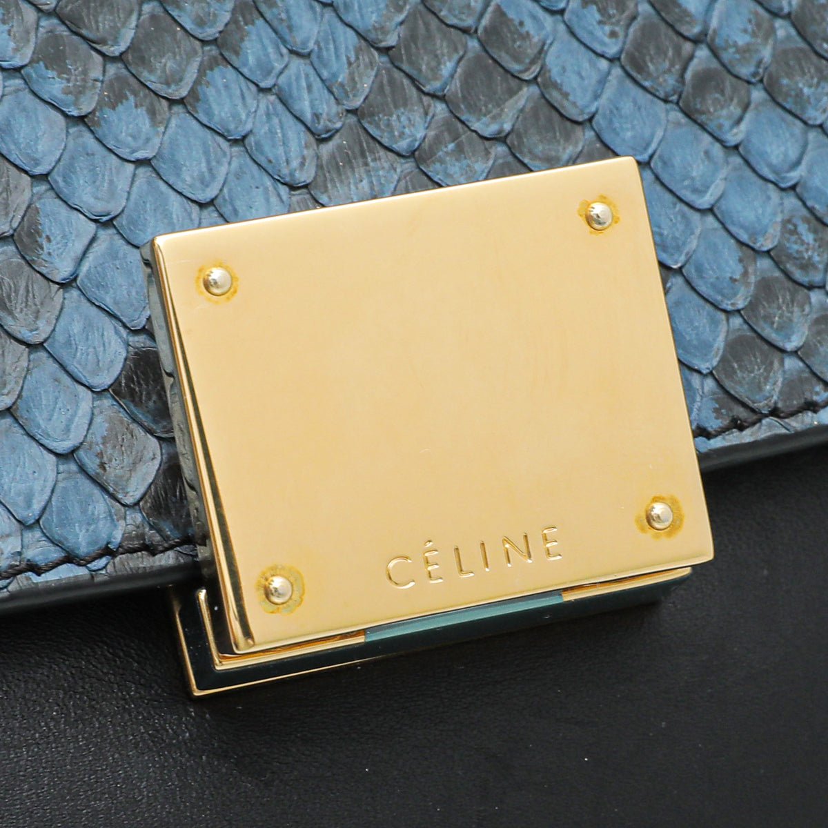 Celine Bicolor Python Trapeze Small Bag – THE CLOSET