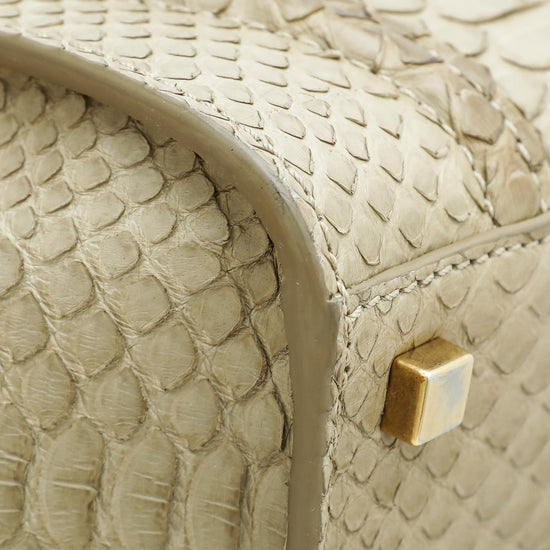 Celine - Celine Mastic Python Phantom Medium Luggage Bag | The Closet