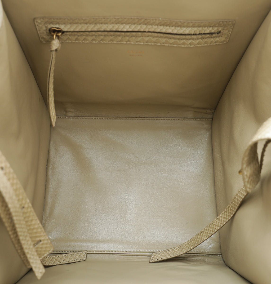 Celine Mastic Python Phantom Medium Luggage Bag – THE CLOSET