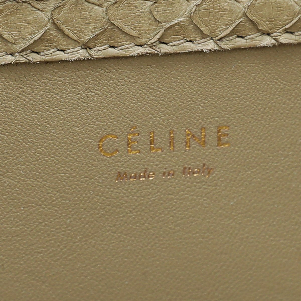 Celine - Celine Mastic Python Phantom Medium Luggage Bag | The Closet