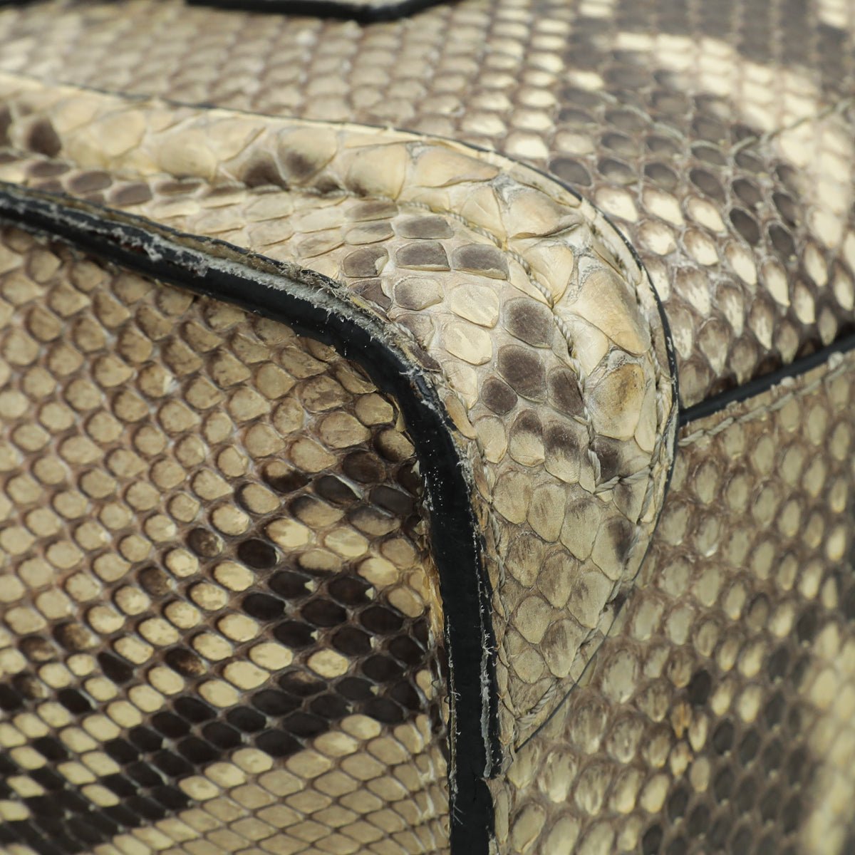 Celine Natural Beige Full Python Nano Luggage Bag – THE CLOSET