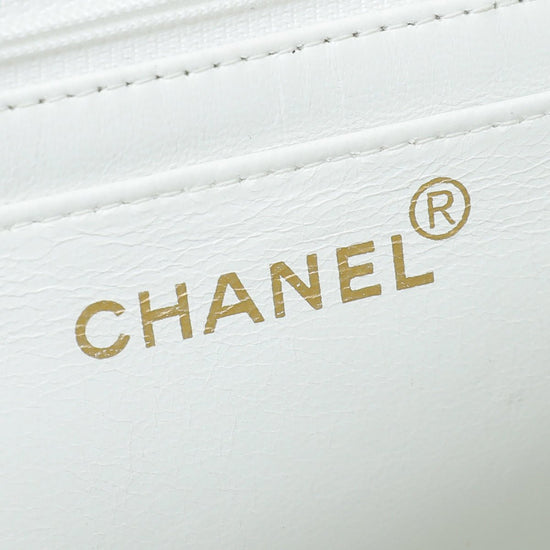 Chanel - Chanel Bicolor Resin Chain Flap Bag | The Closet
