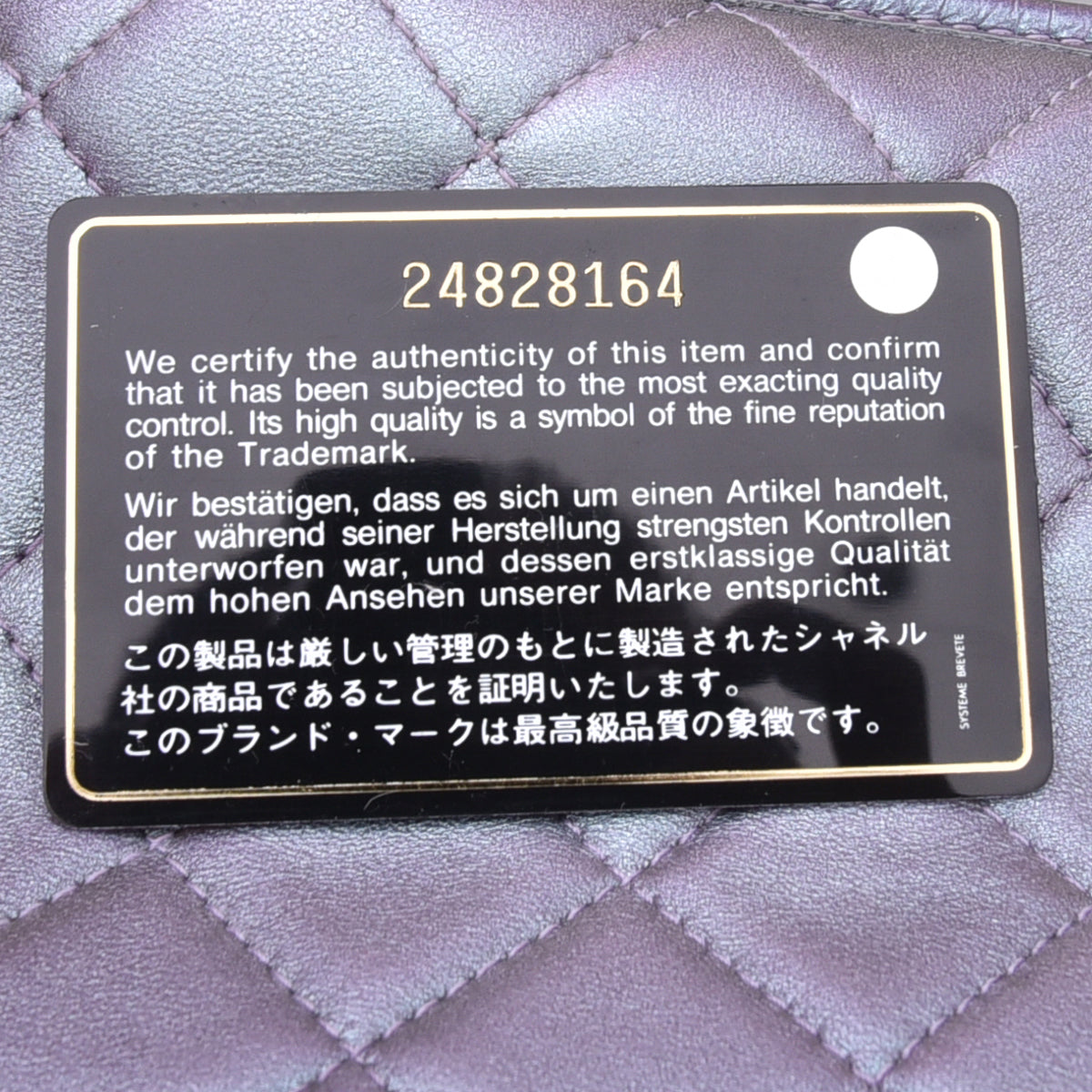 Chanel Purple Rainbow CC Unicorn Gabrielle Iridescent Bag-Chanel-THE CLOSET