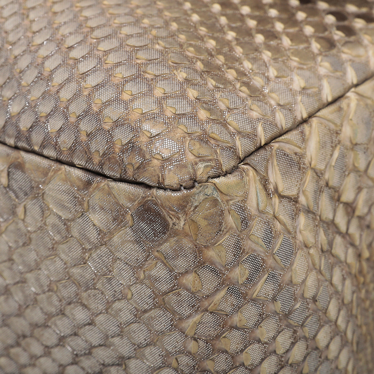 Chanel Metallic Beige Ombre Python Classic Flap Bag Jumbo-Chanel-THE CLOSET