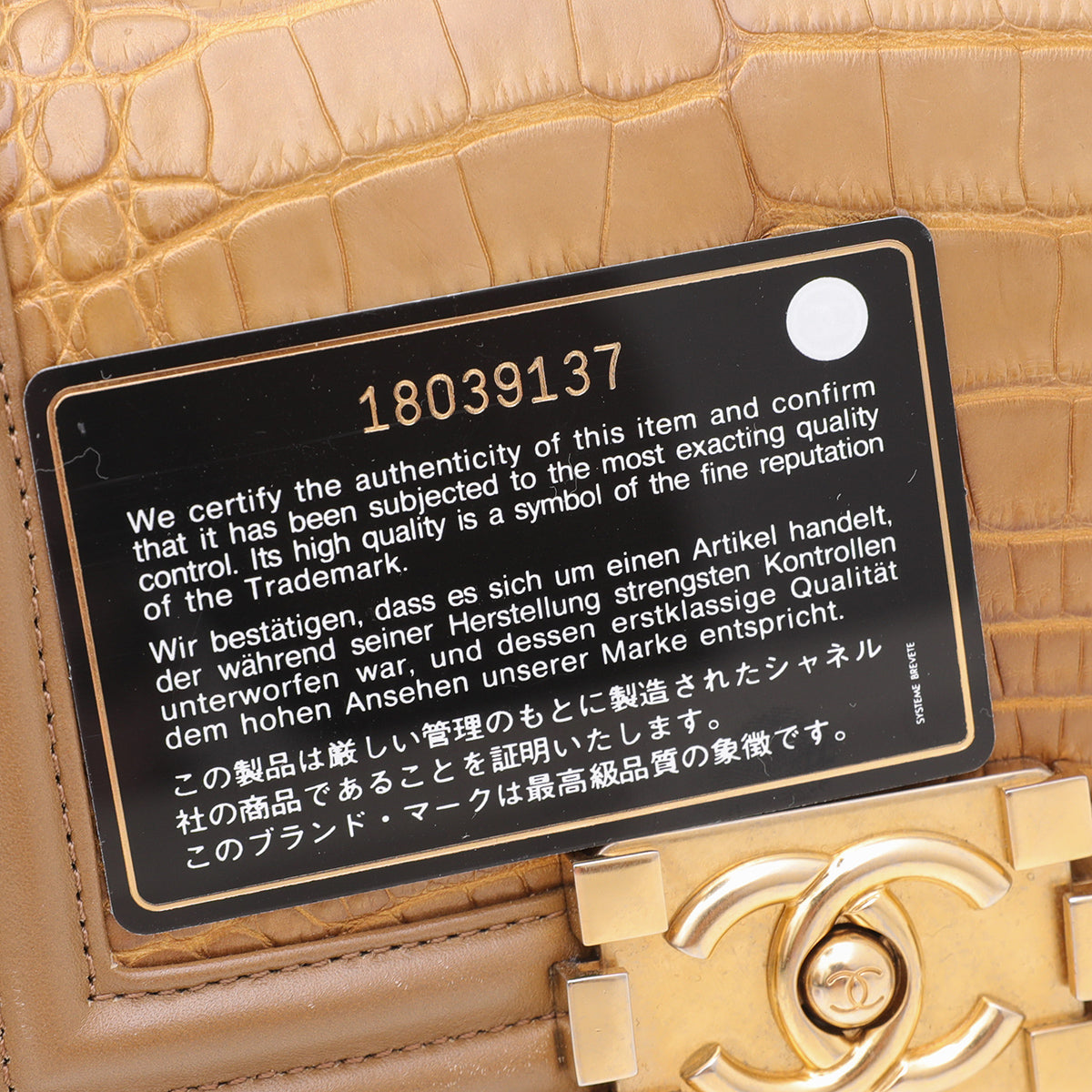 Chanel Mocca Alligator Le Boy Small Flap Bag-Chanel-THE CLOSET