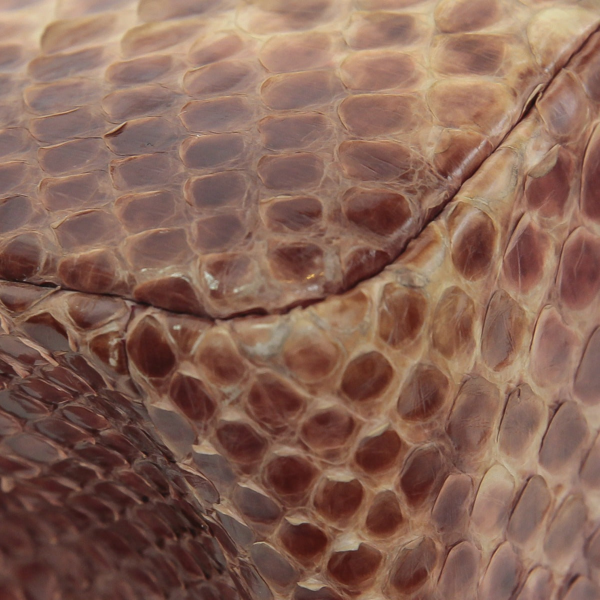 Chanel Ombre Python reissue Bag-Chanel-THE CLOSET