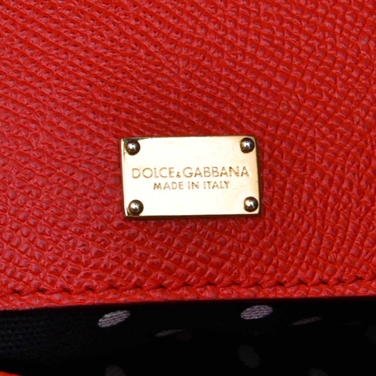 Dolce & Gabbana Red #DG Family Sicily Medium Bag-Dolce & Gabbana-THE CLOSET