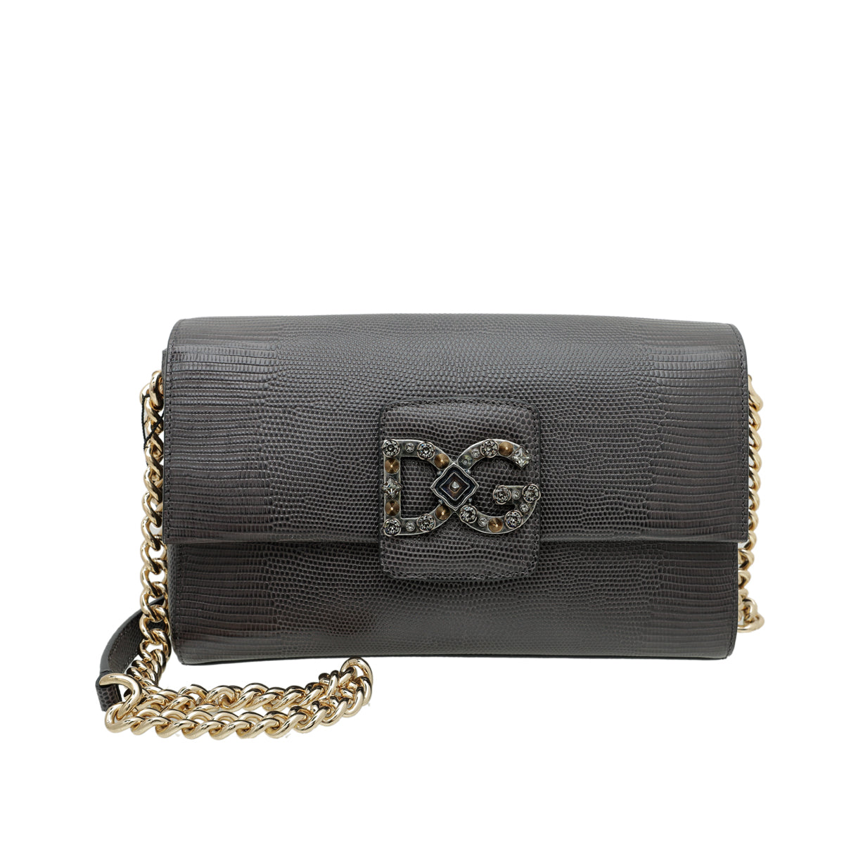 Dolce & Gabbana Dark Grey DG Millennials Iguana Print Chain Bag-Dolce & Gabbana-THE CLOSET