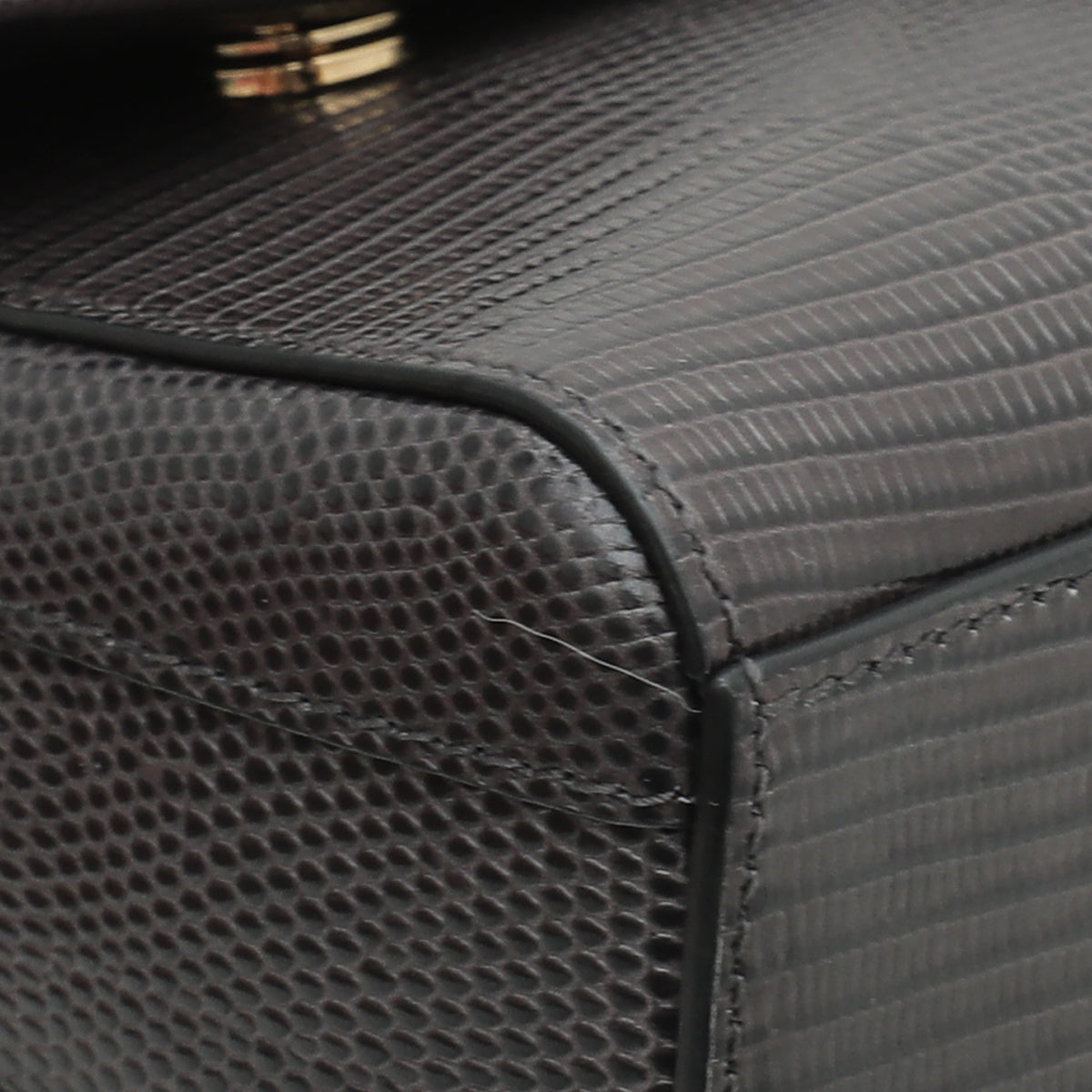 Dolce & Gabbana Dark Grey DG Millennials Iguana Print Chain Bag-Dolce & Gabbana-THE CLOSET