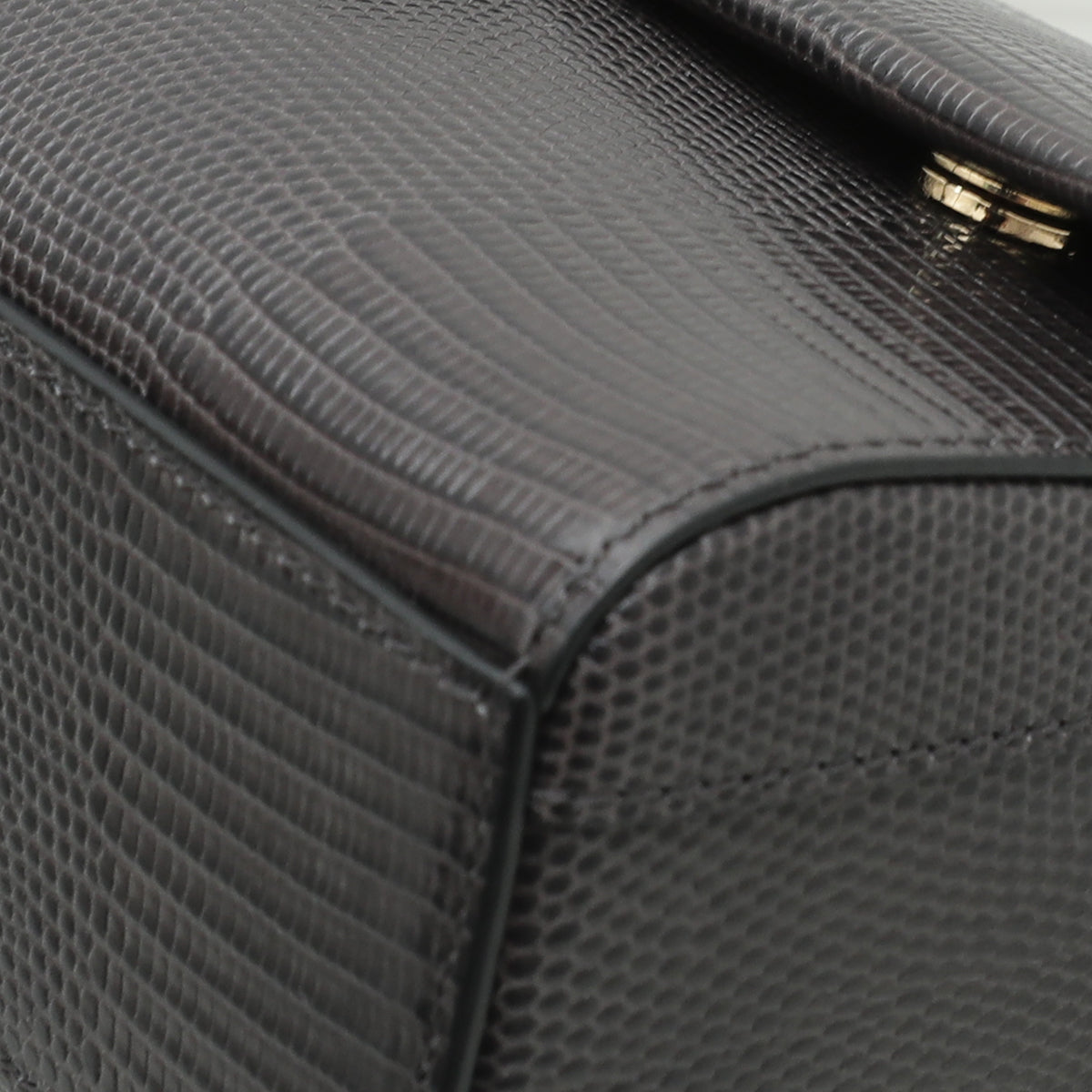 Dolce & Gabbana Dark Grey DG Millennials Iguana Print Chain Bag-Dolce & Gabbana-THE CLOSET