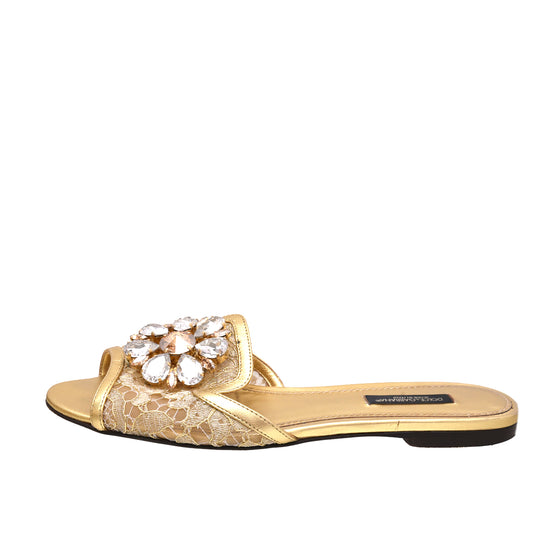 Dolce & Gabbana Metallic Gold Lace Bianca Flat Slides 36