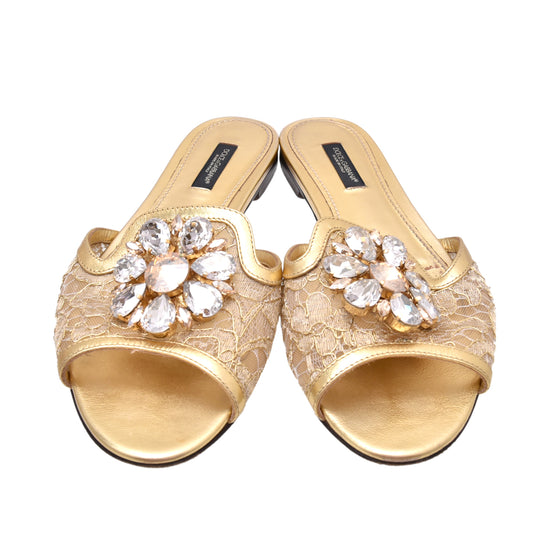 Dolce & Gabbana Metallic Gold Lace Bianca Flat Slides 36