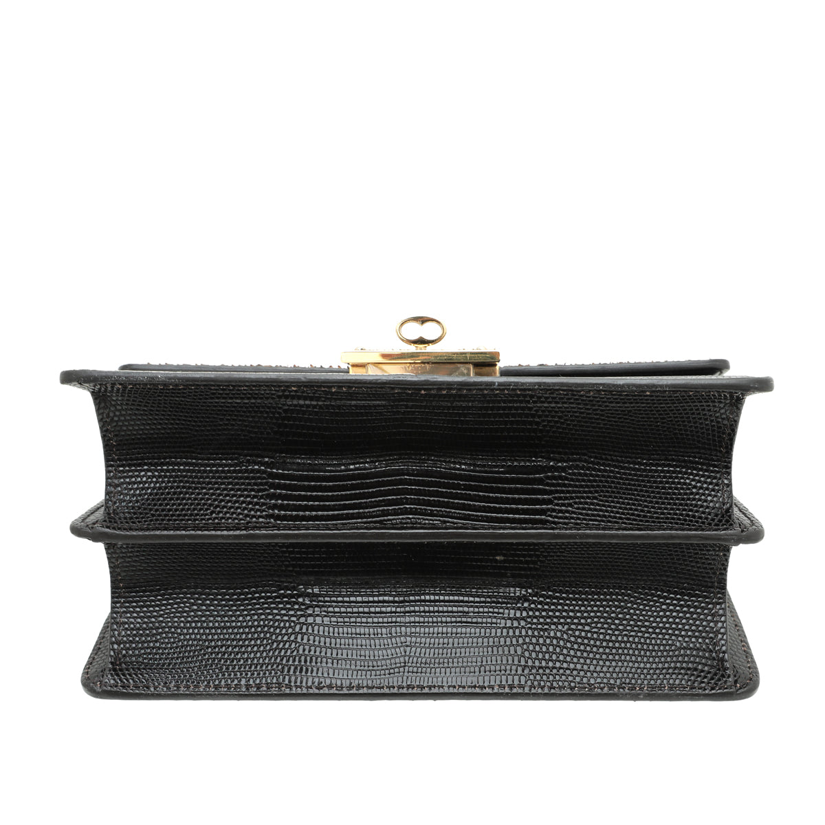 Dolce & Gabbana Tricolor Python Lizard Rosalia Flap Chain Bag-Dolce & Gabbana-THE CLOSET