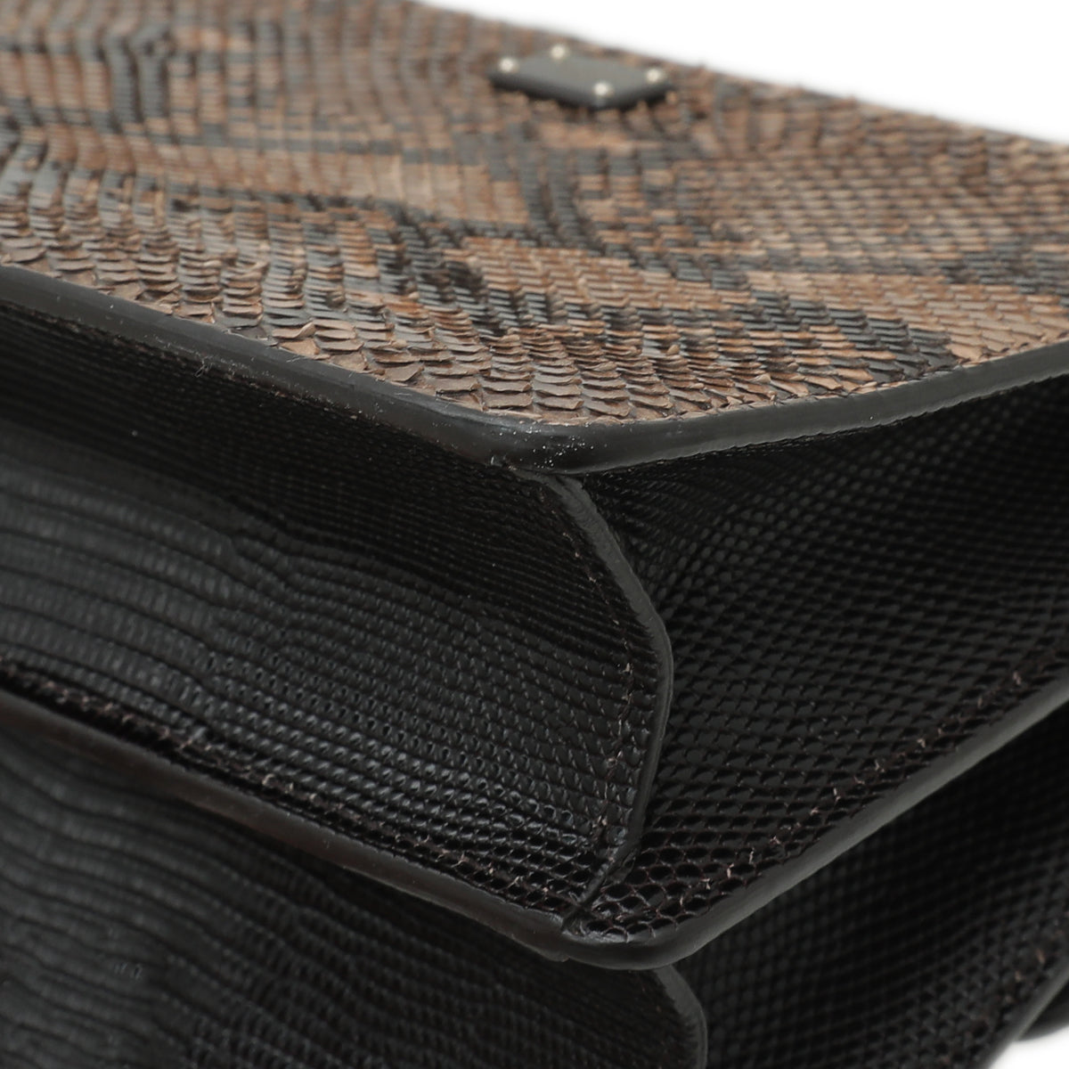 Dolce & Gabbana Tricolor Python Lizard Rosalia Flap Chain Bag-Dolce & Gabbana-THE CLOSET