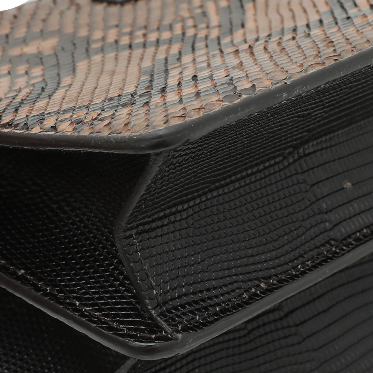 Dolce & Gabbana Tricolor Python Lizard Rosalia Flap Chain Bag-Dolce & Gabbana-THE CLOSET