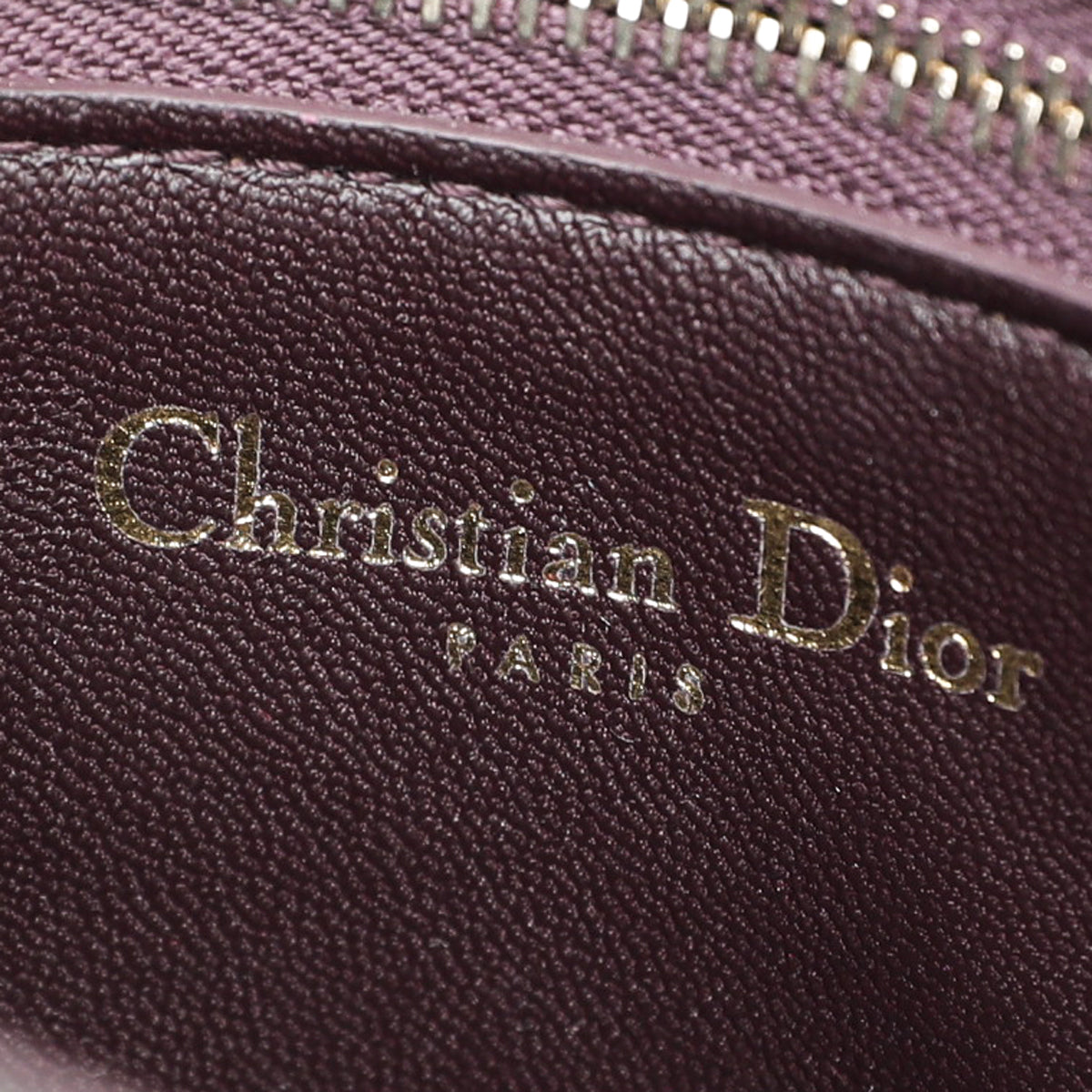 Christian Dior Green Ceramic Effect Deerskin Diorama Club Bag