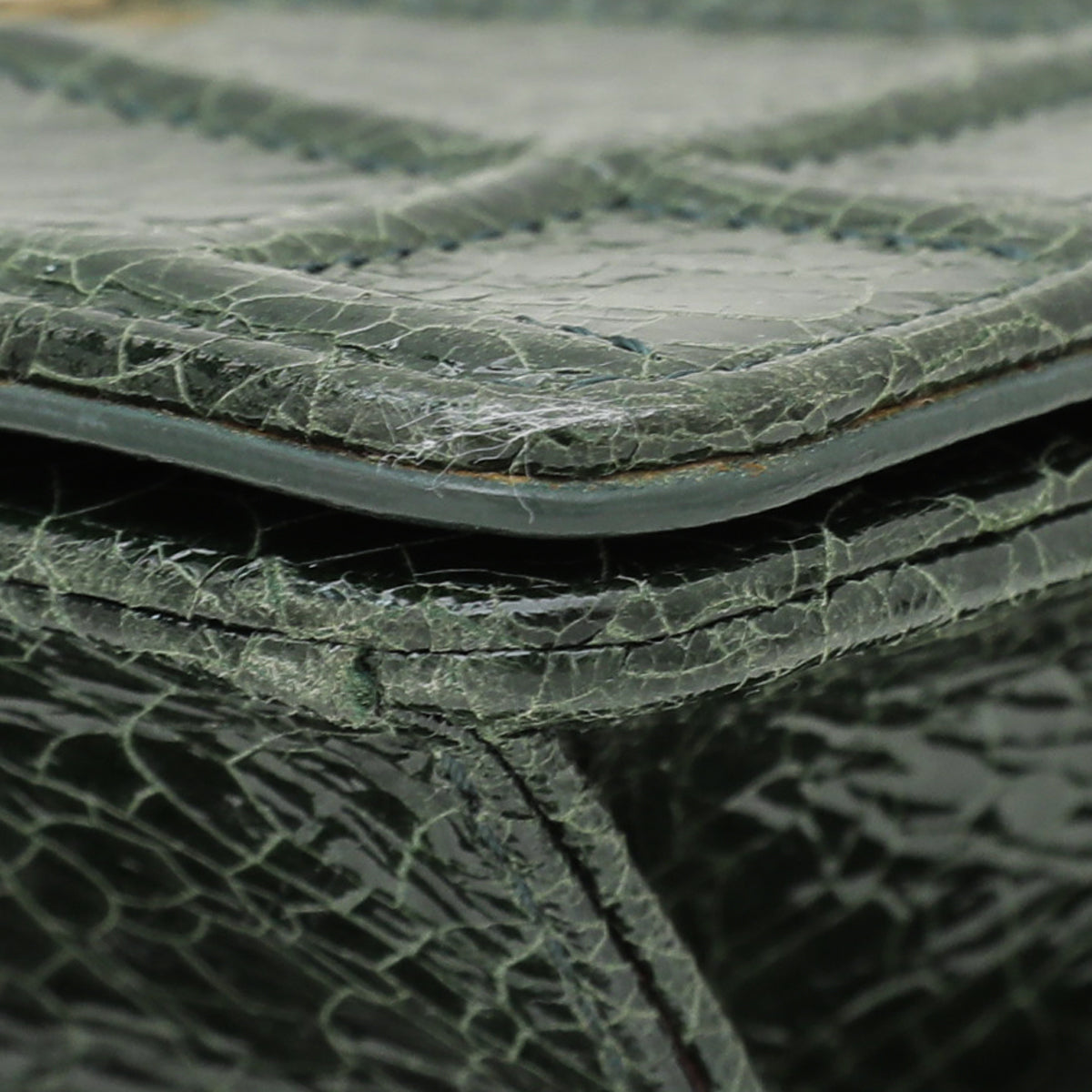 Christian Dior Green Ceramic Effect Deerskin Diorama Club Bag-Christian Dior-THE CLOSET