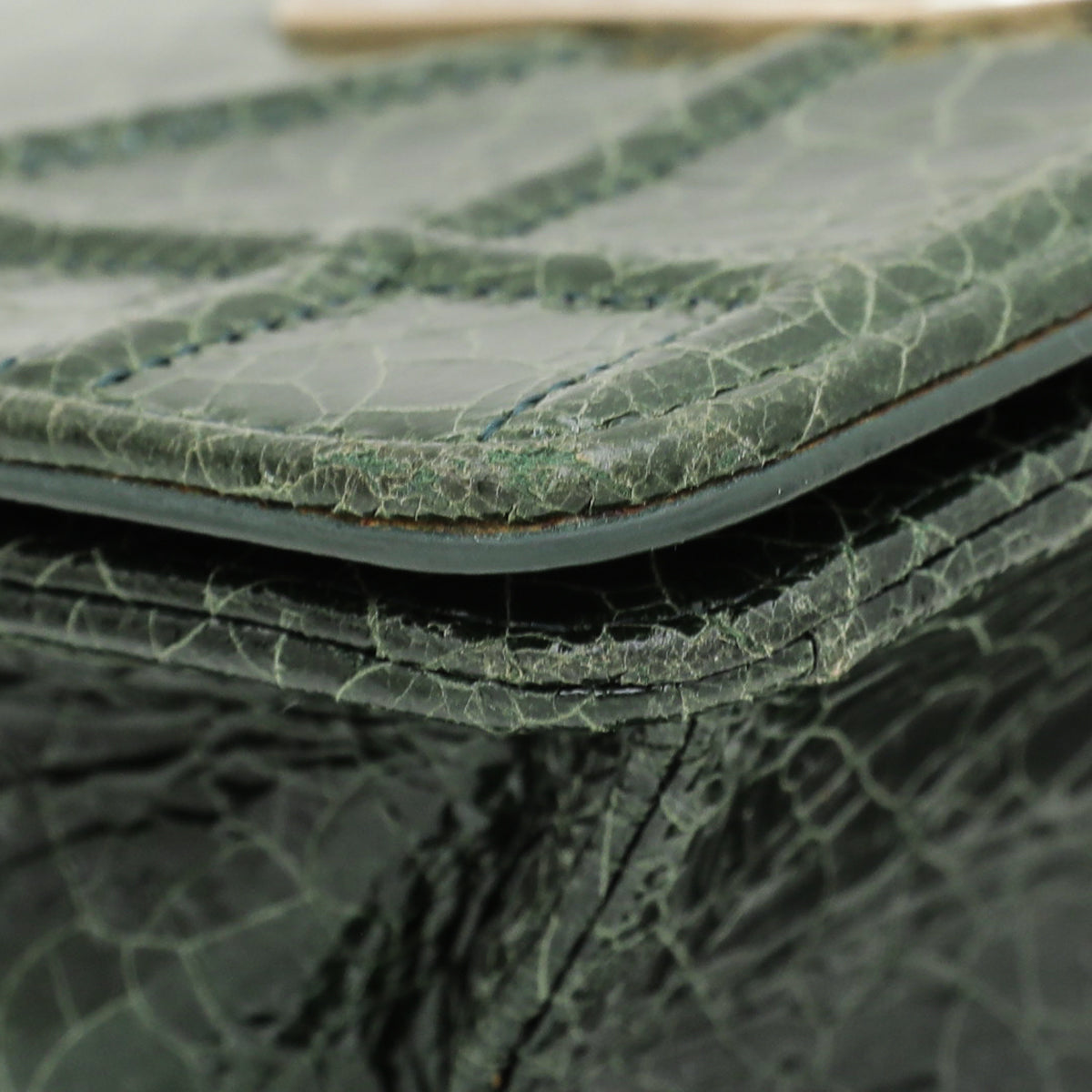 Christian Dior Green Ceramic Effect Deerskin Diorama Club Bag-Christian Dior-THE CLOSET