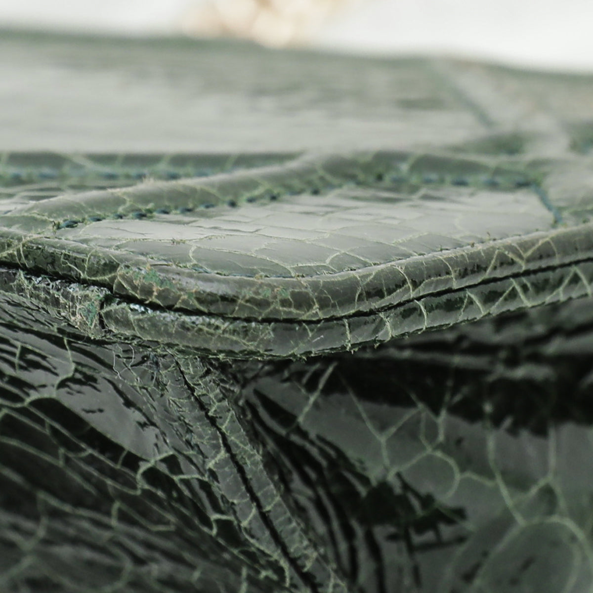 Christian Dior Green Ceramic Effect Deerskin Diorama Club Bag-Christian Dior-THE CLOSET