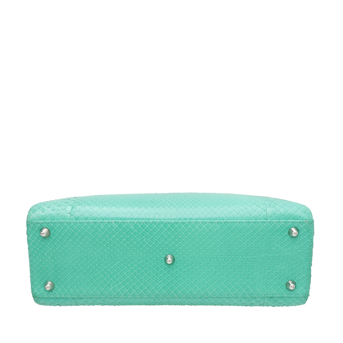 Christian Dior Green Python Lady Dior Large Bag-Christian Dior-THE CLOSET