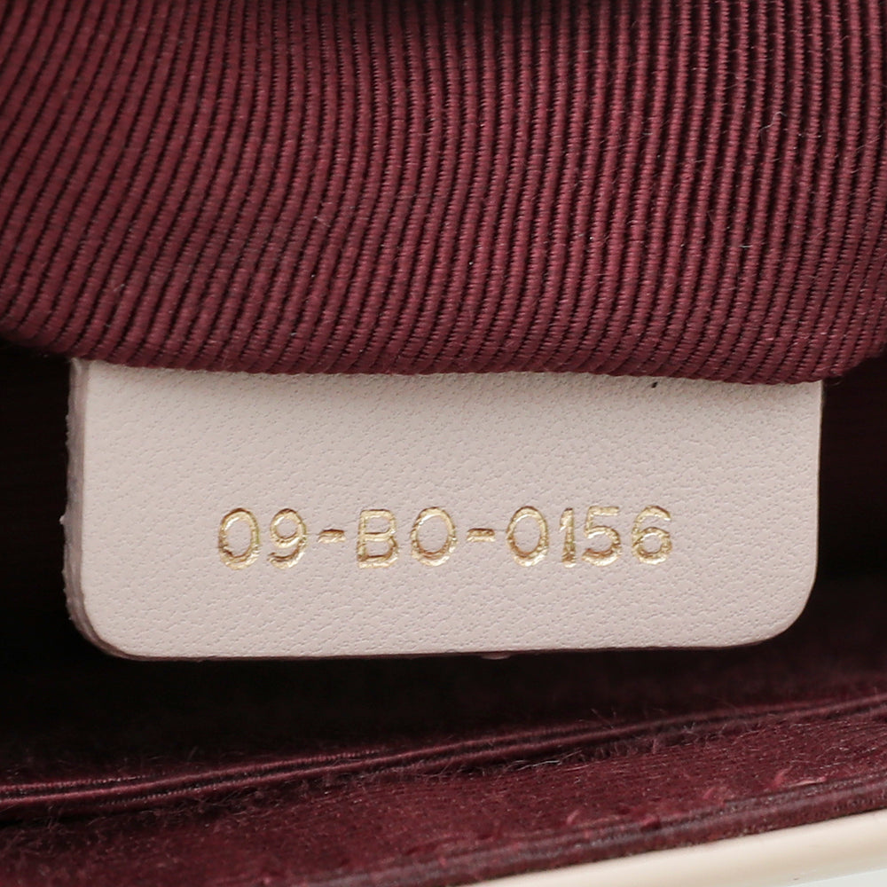 Christian Dior Biege Diorama Medium Flap Bag-Christian Dior-THE CLOSET