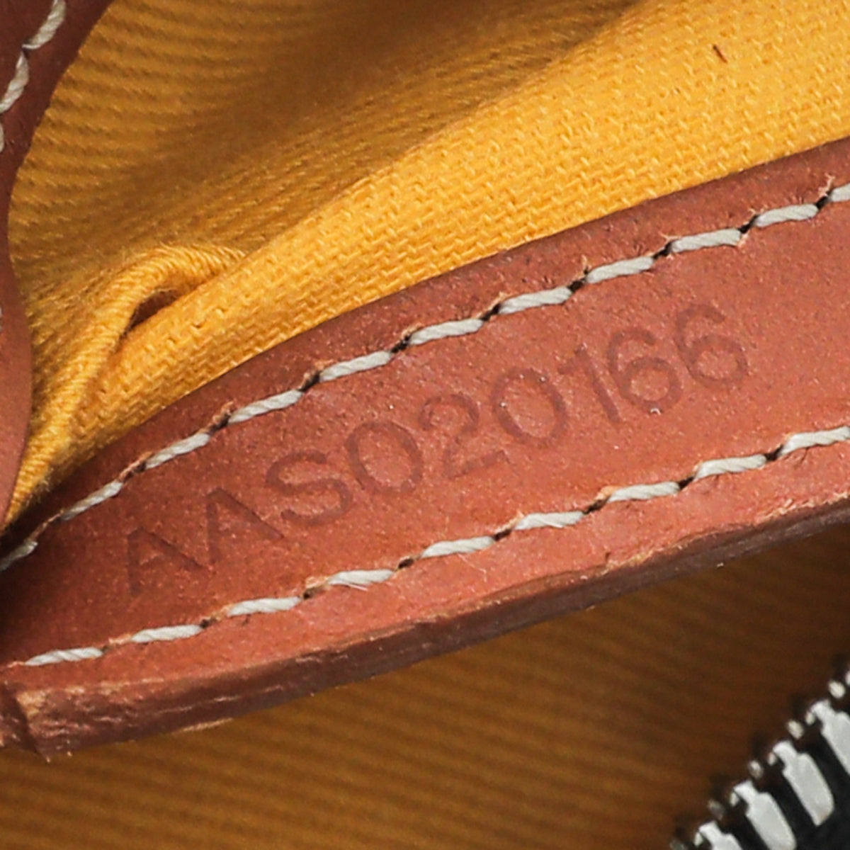 Goyard Bicolor Goyardine Cap Vert PM Bag-Goyard-THE CLOSET