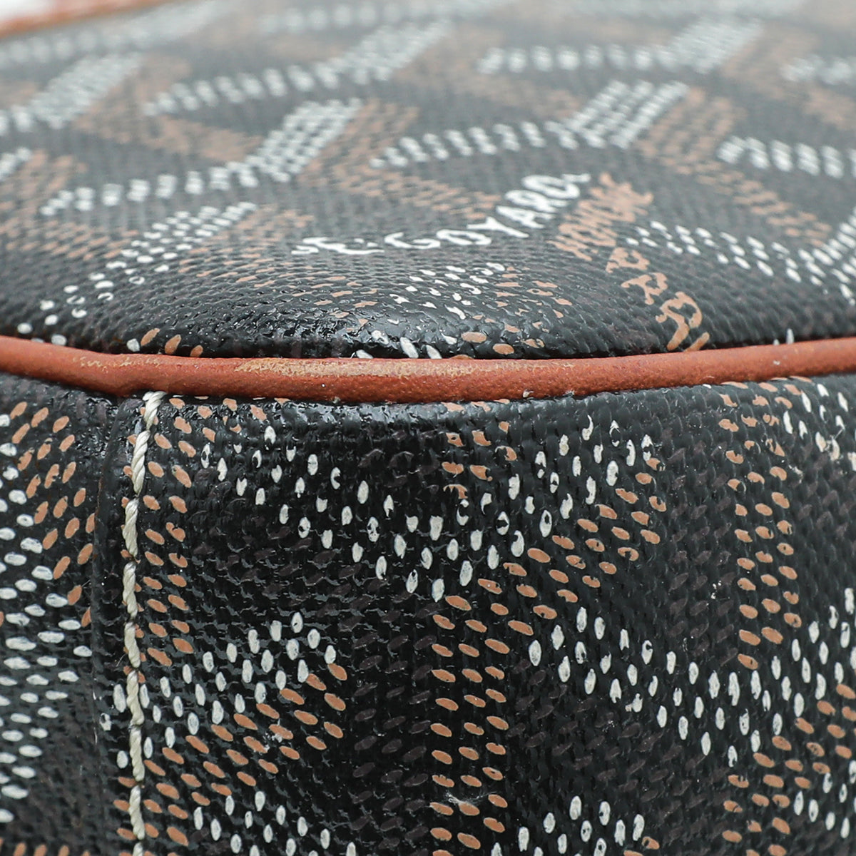 Goyard Bicolor Goyardine Cap Vert PM Bag-Goyard-THE CLOSET