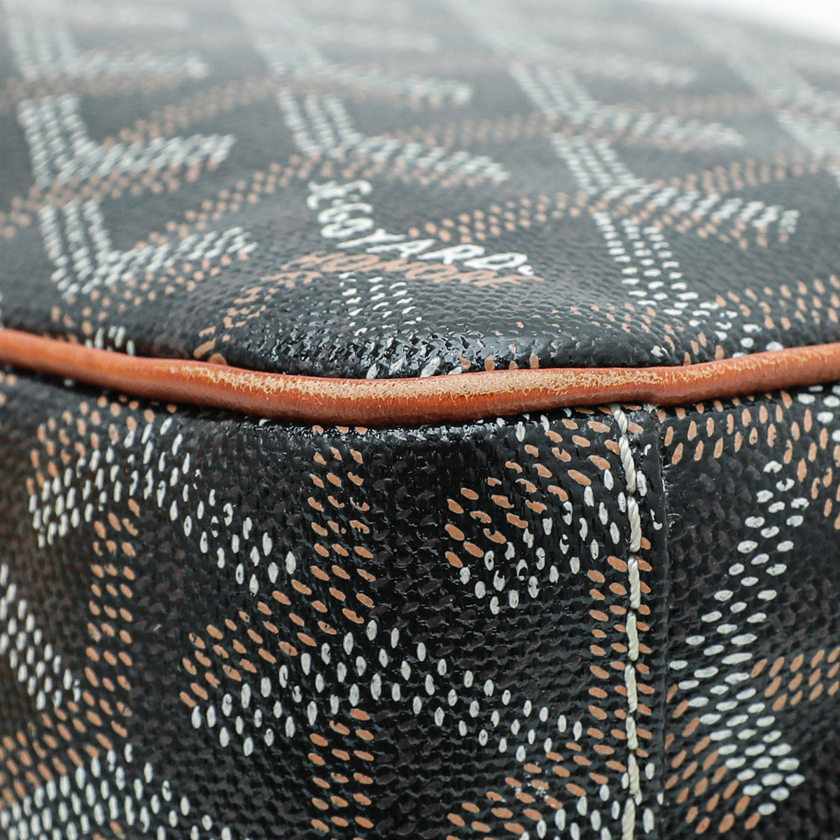 Goyard Bicolor Goyardine Cap Vert PM Bag-Goyard-THE CLOSET
