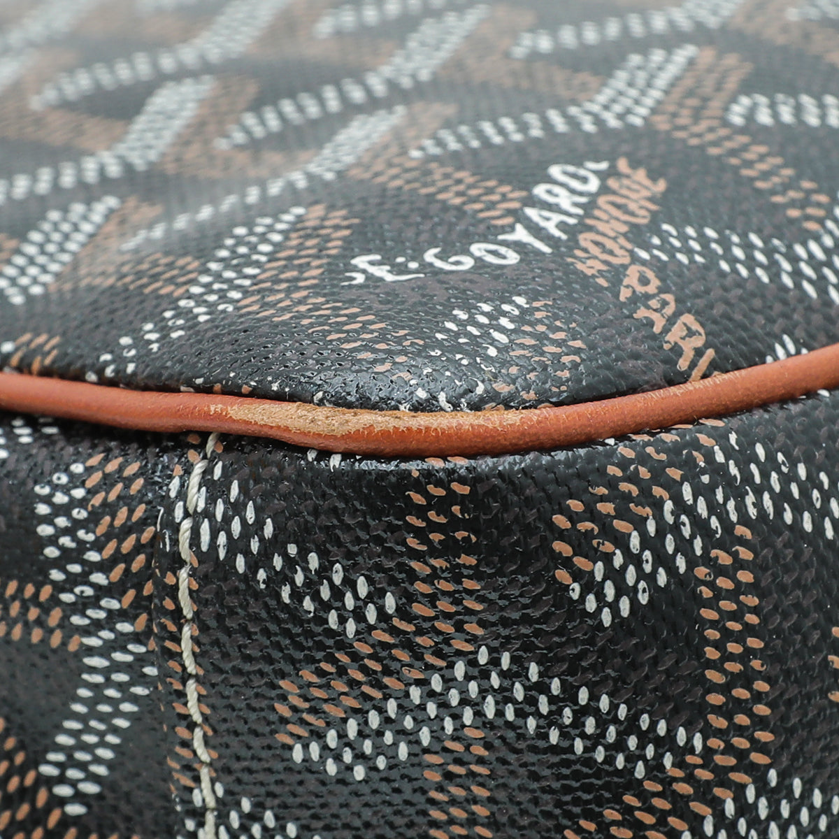 Goyard Bicolor Goyardine Cap Vert PM Bag-Goyard-THE CLOSET