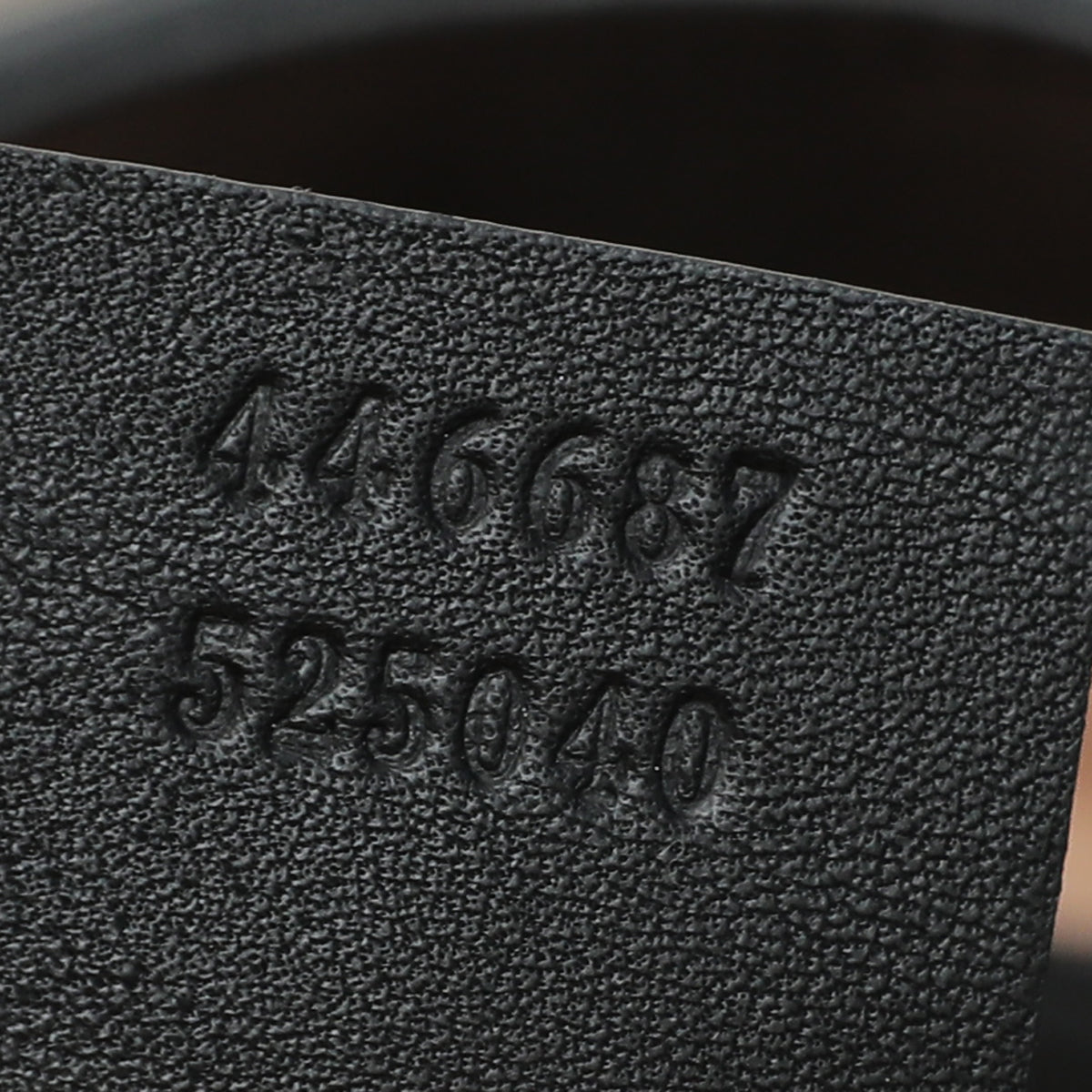 Gucci Black Dionysus Web Hobo Medium Bag-Gucci-THE CLOSET