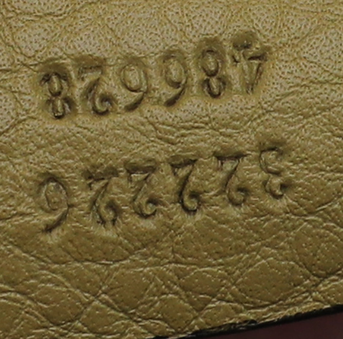 Gucci Pale Olive Emily Hobo Bag-Gucci-THE CLOSET