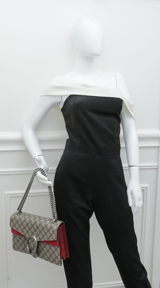 Gucci Bicolor Dionysus Small Bag-Gucci-THE CLOSET